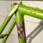 Gold Phantom Pearl on Lime Green base coat making this bicycle stand out above the rest.
