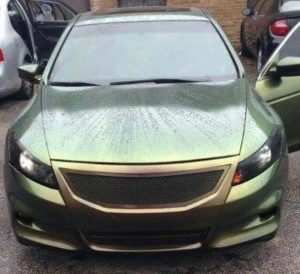 Colorshift Pearls reptile wet hood 4739CS